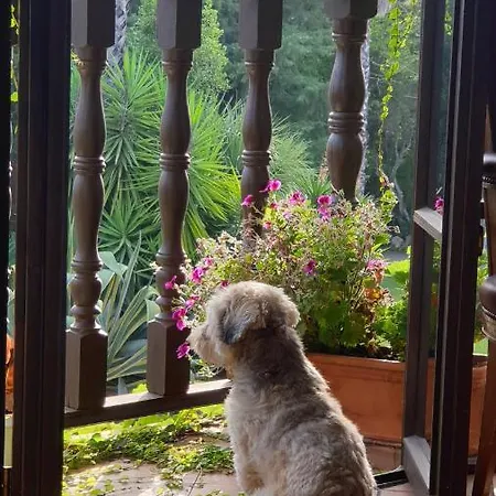 La Casa Del Torreon Bed & Breakfast