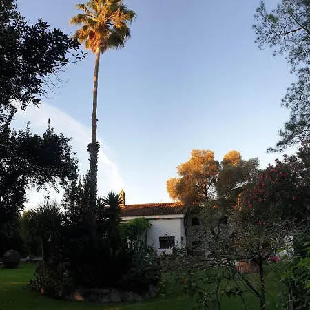 La Casa Del Torreon Bed & Breakfast